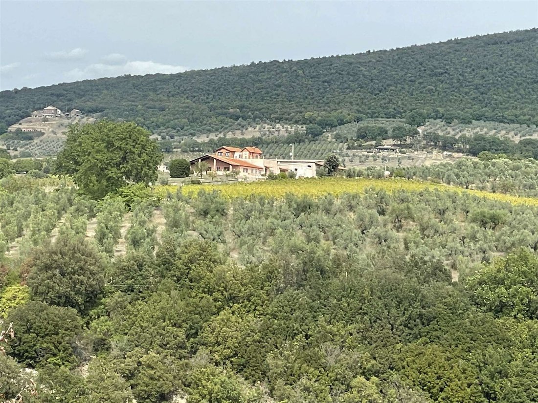 Farm Ranch in Montecchio, Umbria, Italy 1 - 16725171