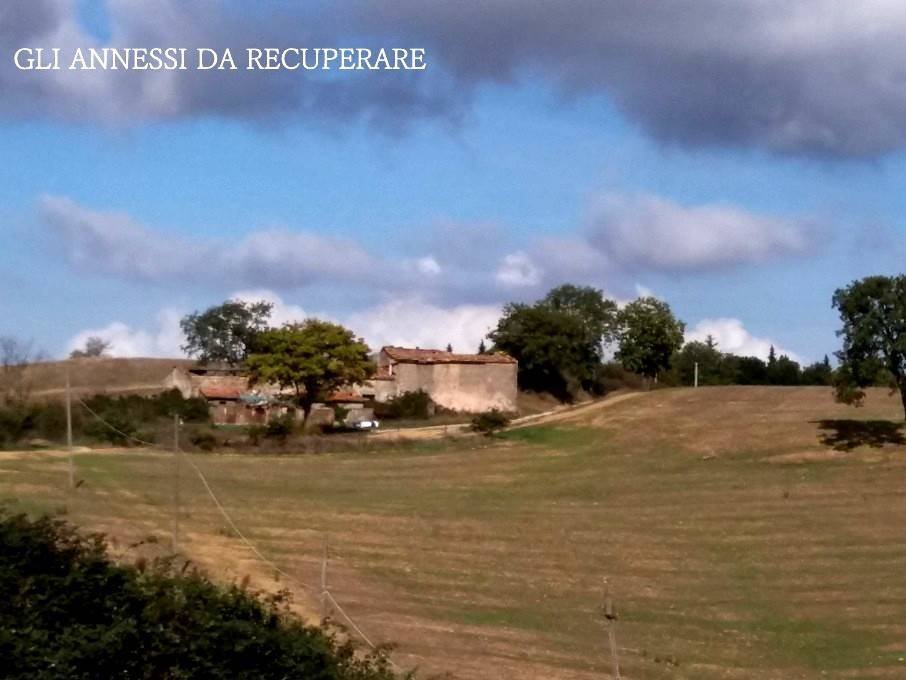 Land in Scansano, Tuscany, Italy 3 - 16723101
