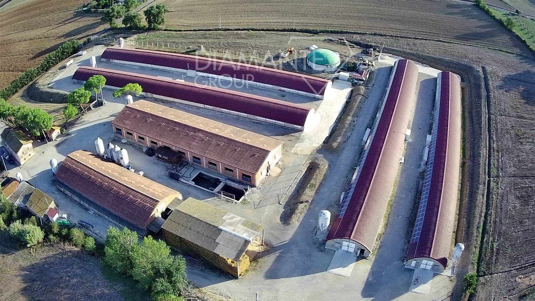 Farm Ranch in Magione, Umbria, Italy 4 - 16725058