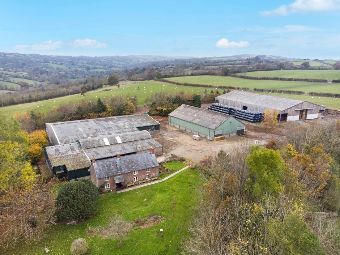 Farm Ranch in Michaelchurch Escley, England 2 - 16719971