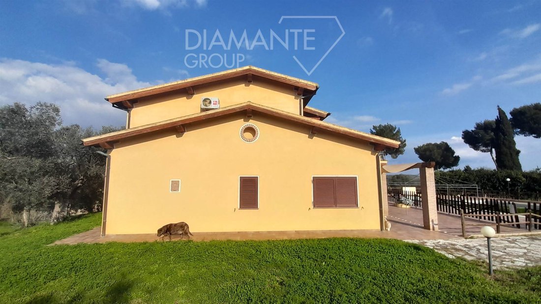 Farm Ranch in Magliano in Toscana, Tuscany, Italy 4 - 16725045