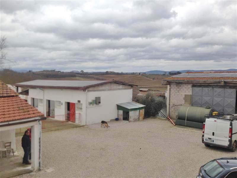 Farm Ranch in Pietraia - Centoia - Chianacce, Cortona, Tuscany 2 - 16724152
