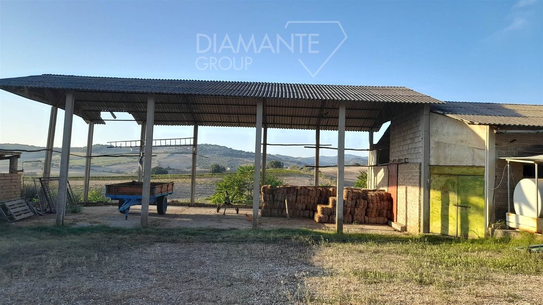 Farm Ranch in Magliano in Toscana, Tuscany, Italy 4 - 16725121