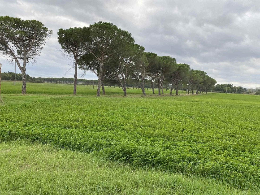 Farm Ranch in Castiglione del Lago, Umbria, Italy 5 - 16723875