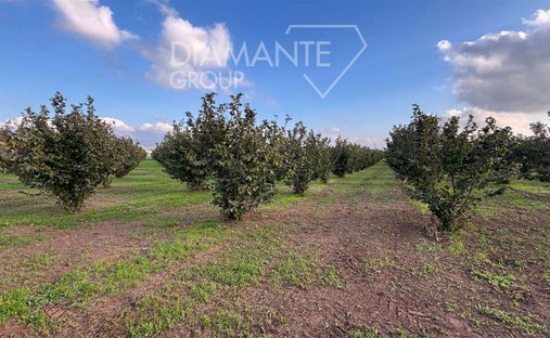 Castle for Sale in Viterbo, Lazio, Italy