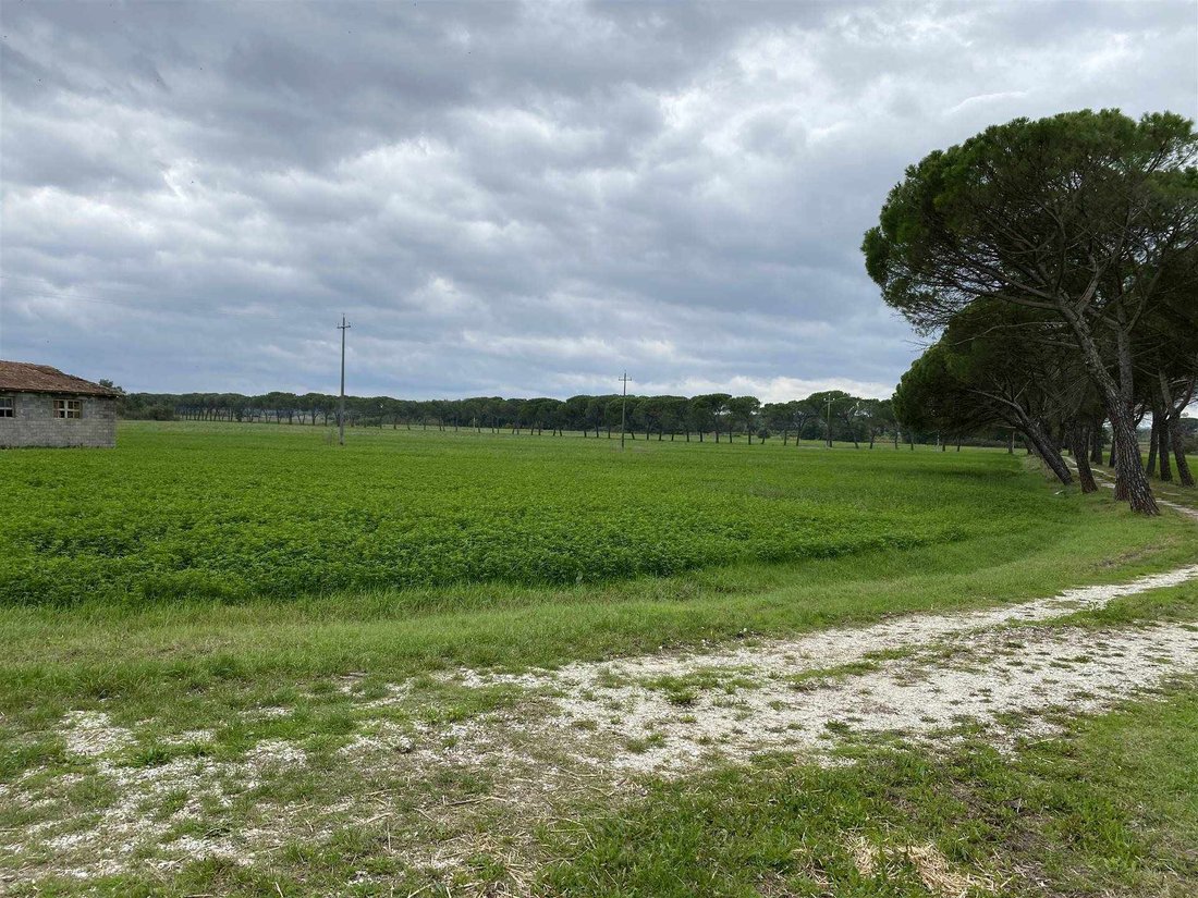 Farm Ranch in Castiglione del Lago, Umbria, Italy 3 - 16723875