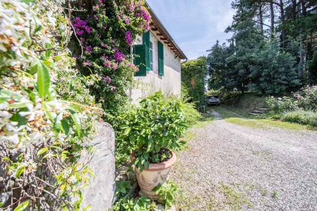 Country House in Historic Center, Lucca, Tuscany 4 - 15965777