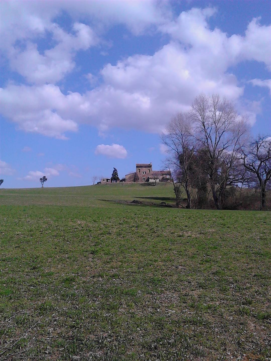 Land in Colleluce - Taccoli, San Severino Marche, Marche 1 - 16722439