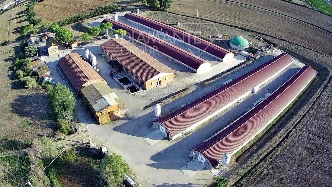 Farm Ranch in Magione, Umbria, Italy 3 - 16725058