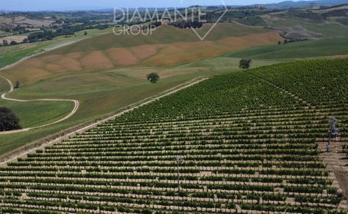 Castle To Be Renovated For Sale In Montalcino, Valdorcia