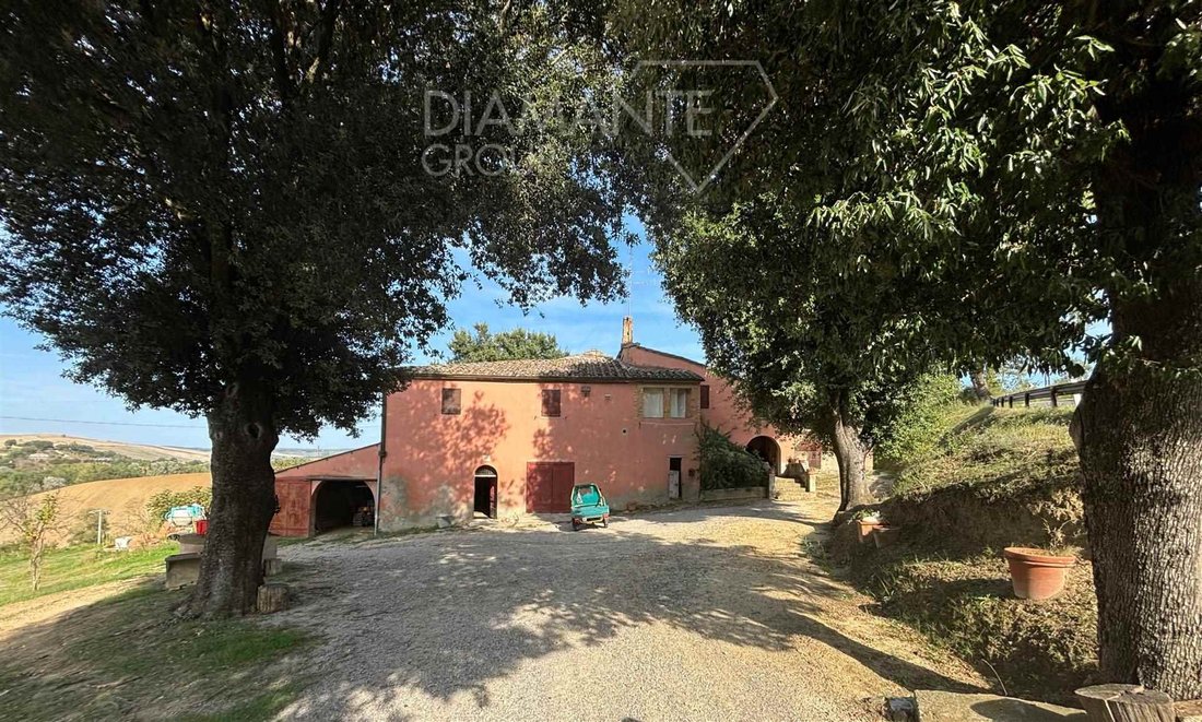 Farm Ranch in San Giovanni d'Asso, Tuscany, Italy 2 - 16725124