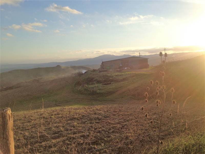Farm Ranch in Radicofani, Tuscany, Italy 2 - 16724076