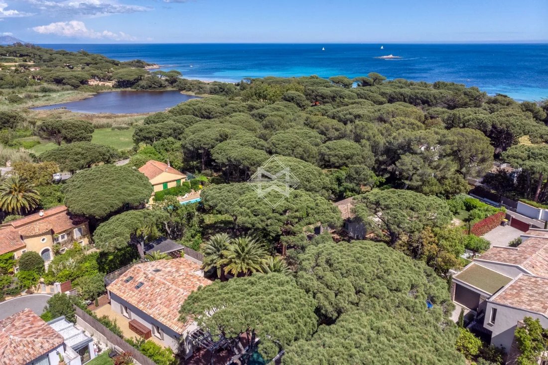 Estate in Zone Est Diffuse, Saint-Tropez, France 1 - 16721324