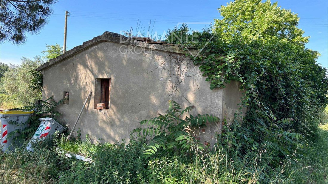 Farm Ranch in Castiglione del Lago, Umbria, Italy 5 - 16725051
