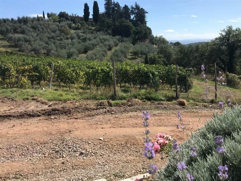 Farm Ranch in Gaiole in Chianti, Tuscany, Italy 3 - 16724012