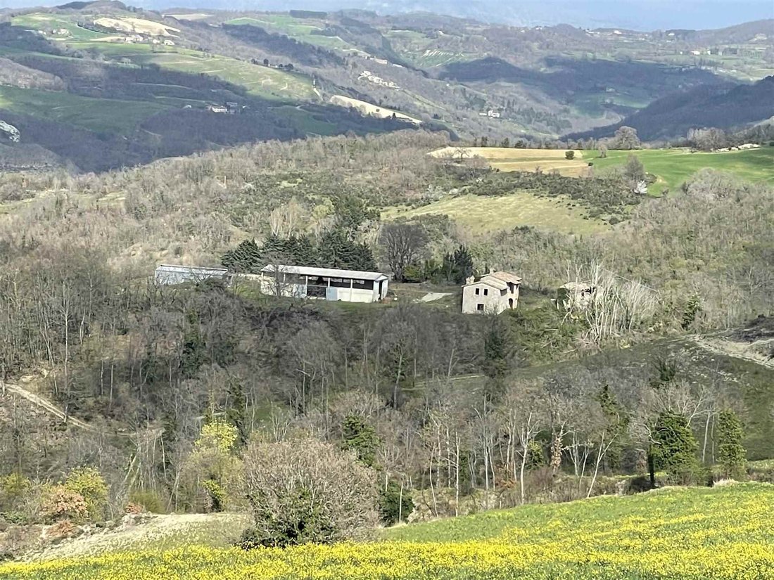 Farm Ranch in Valfabbrica, Umbria, Italy 5 - 16725138