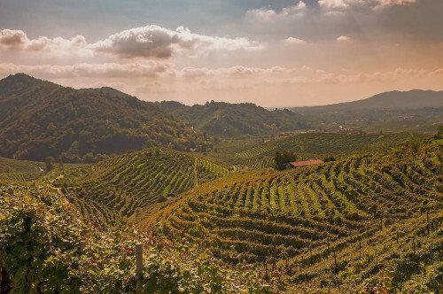 Apartment in Center, Capannori, Tuscany 3 - 15828724