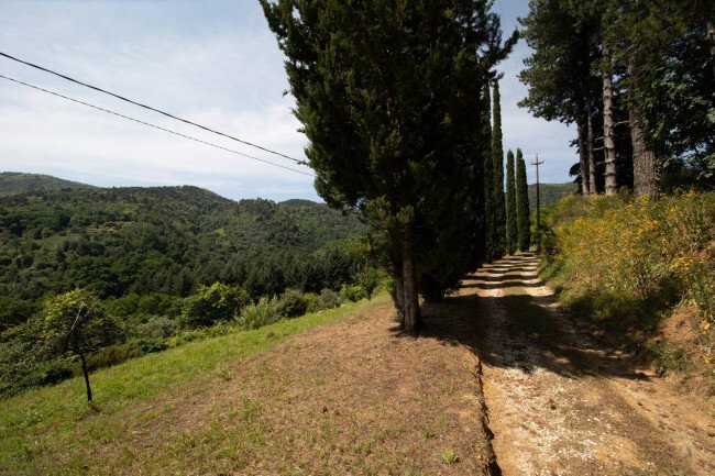 Country House in Historic Center, Lucca, Tuscany 5 - 15965777