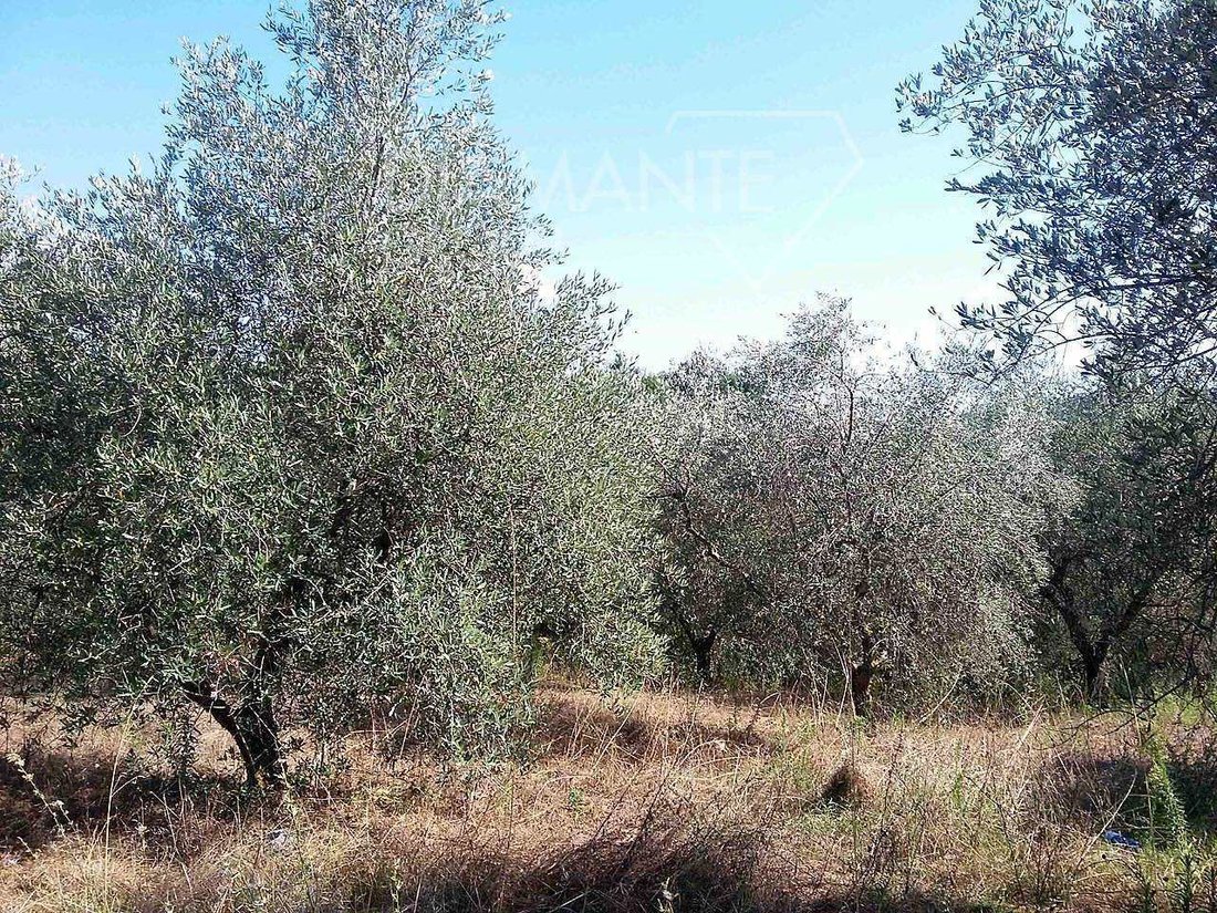 Farm Ranch in San Gimignano, Tuscany, Italy 5 - 16724108
