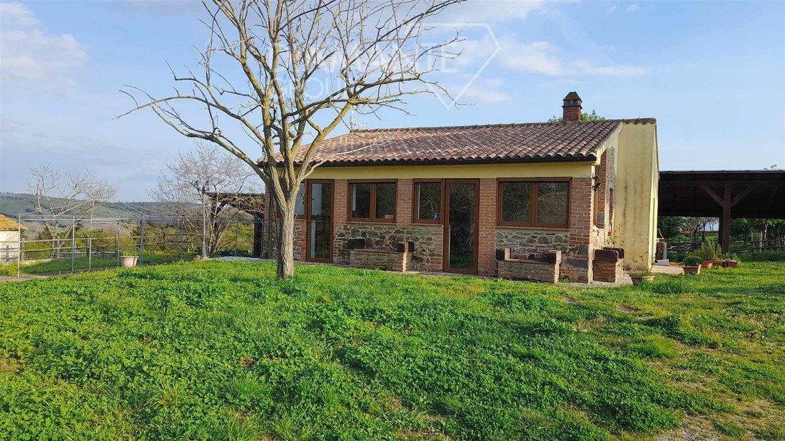Farm Ranch in Magliano in Toscana, Tuscany, Italy 3 - 16725045
