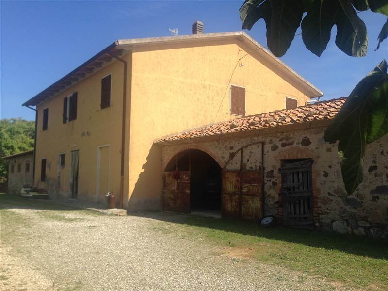 Farm Ranch in Cinigiano, Tuscany, Italy 5 - 16723991