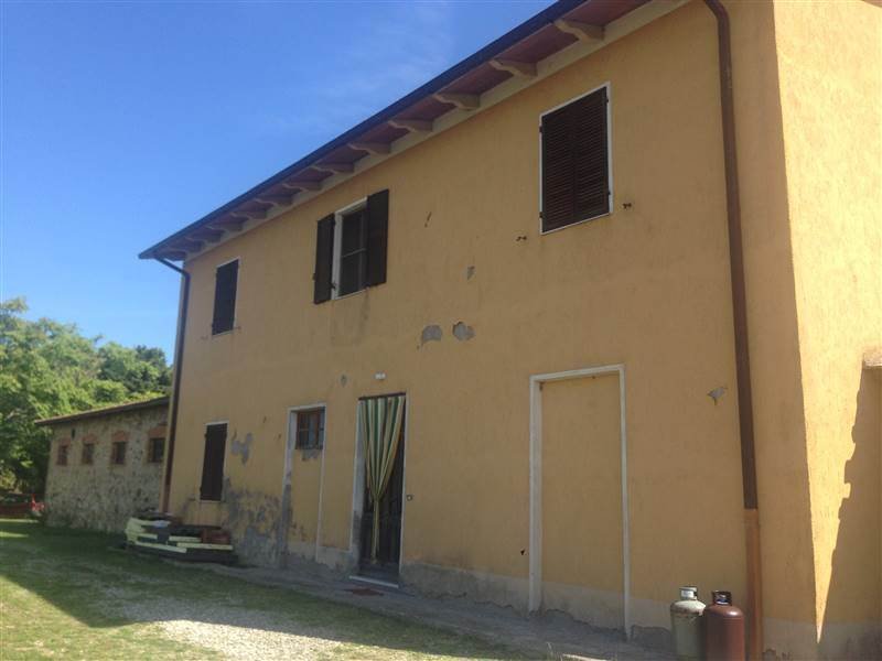 Farm Ranch in Cinigiano, Tuscany, Italy 4 - 16723991