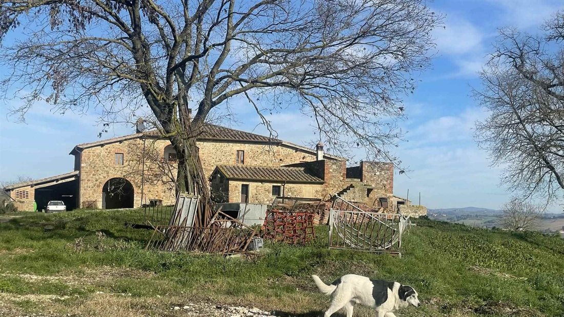 Farm Ranch in Montalcino, Tuscany, Italy 1 - 16725142