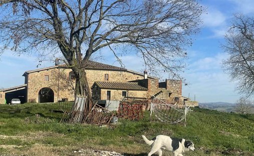 Castle To Be Renovated For Sale In Montalcino, Valdorcia