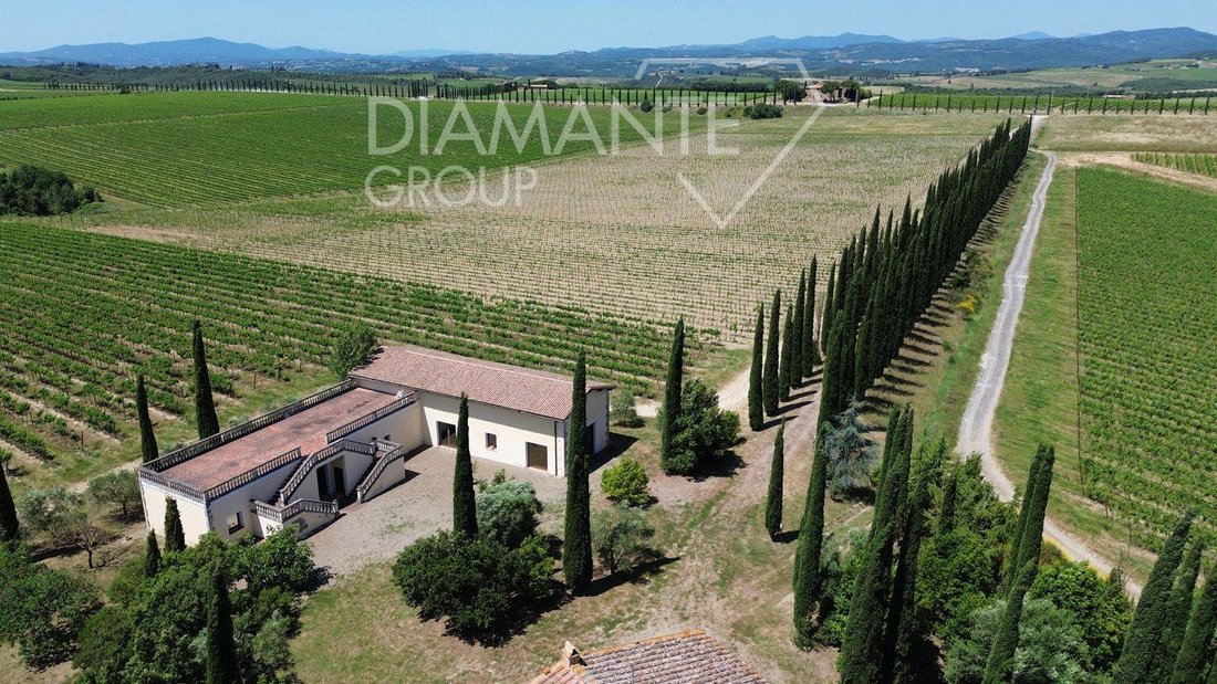 Farm Ranch in Montalcino, Tuscany, Italy 3 - 16724919