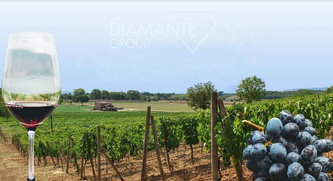 Farm Ranch in Montepulciano, Tuscany, Italy 1 - 16725013