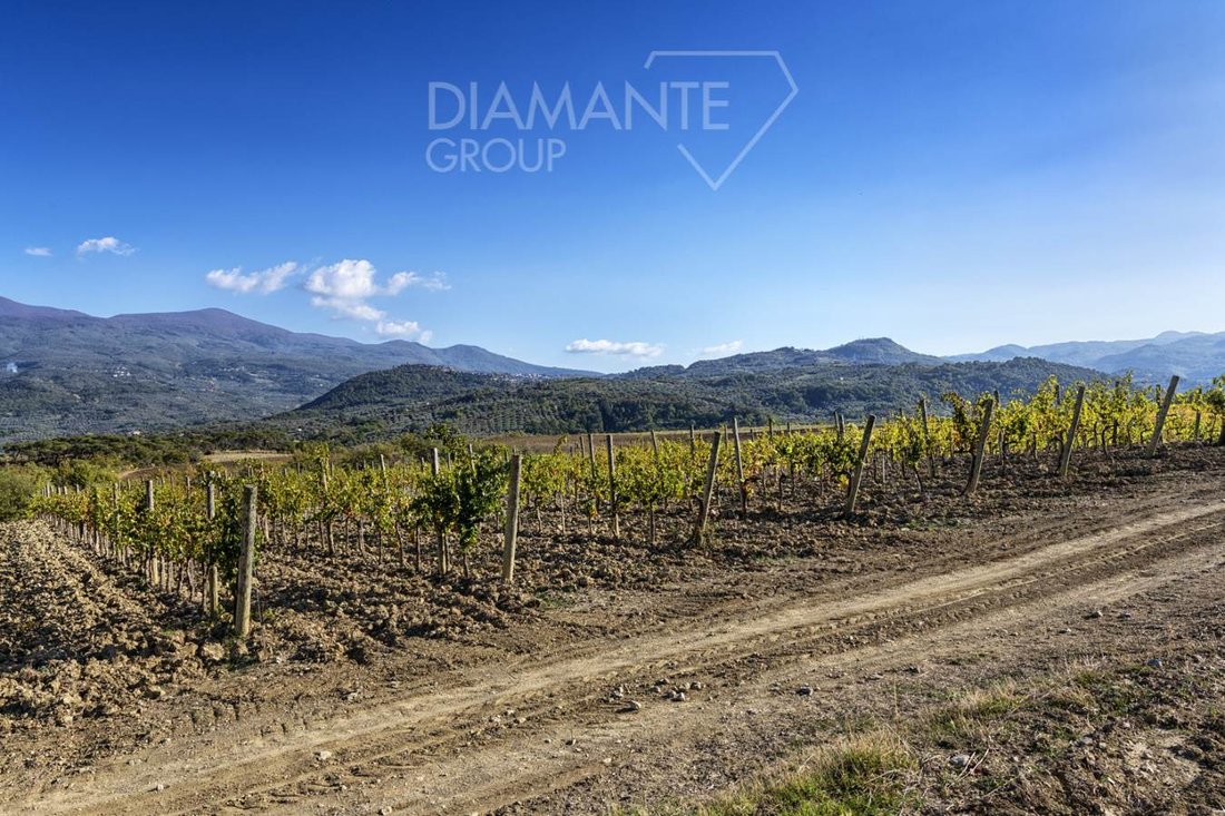 Farm Ranch in Castel del Piano, Tuscany, Italy 2 - 16725115