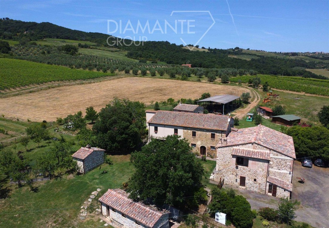Farm Ranch in San Quirico d'Orcia, Tuscany, Italy 5 - 16723497