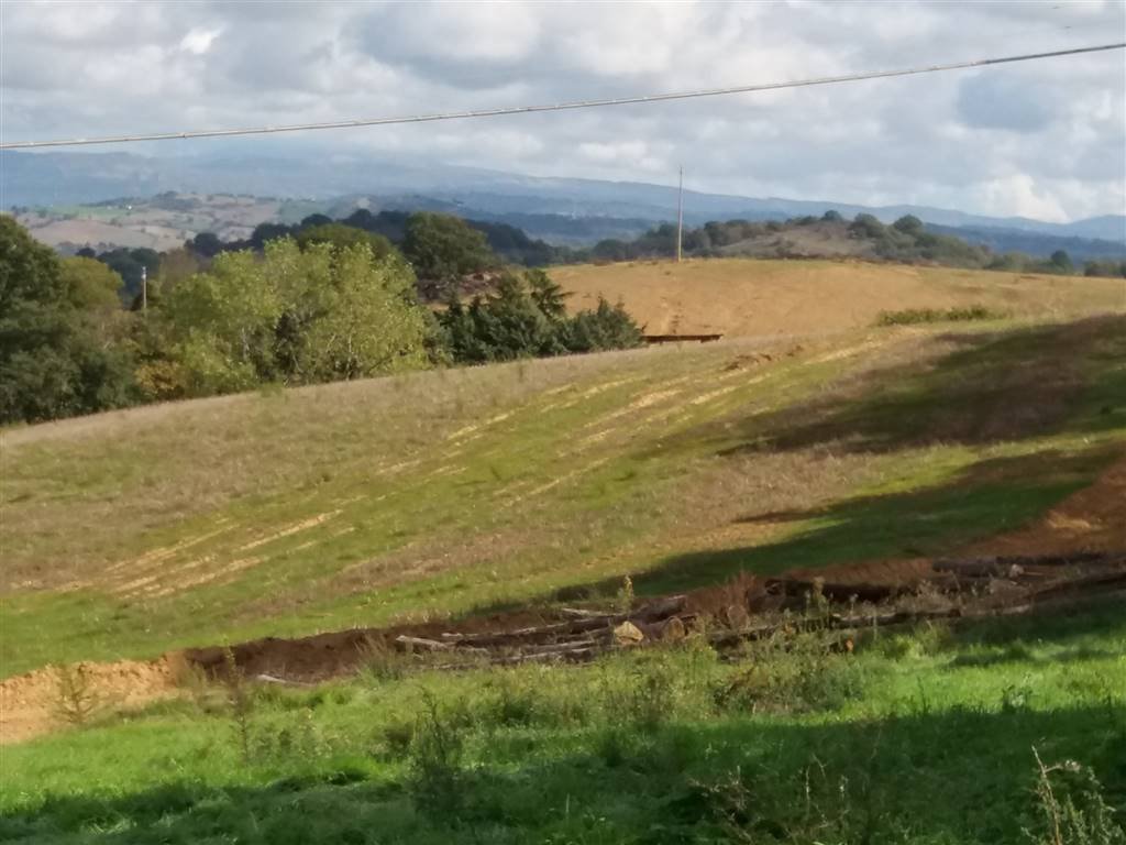 Land in Scansano, Tuscany, Italy 5 - 16723101