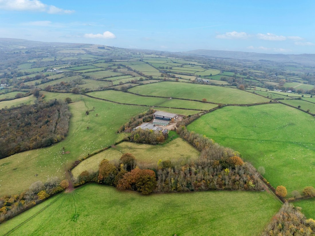 Farm Ranch in Michaelchurch Escley, England 1 - 16719971