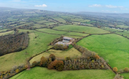 Azienda agricola a Upper Maes-coed, Inghilterra, Regno Unito 1