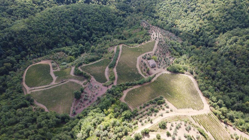 Farm Ranch in Gaiole in Chianti, Tuscany, Italy 1 - 16724012