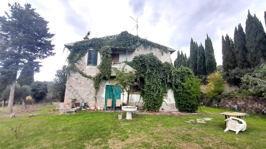 Farm Ranch in Scansano, Tuscany, Italy 3 - 16725006