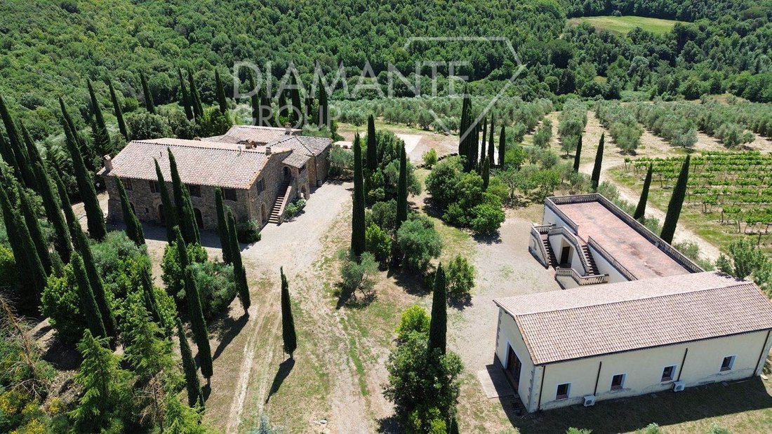 Farm Ranch in Montalcino, Tuscany, Italy 1 - 16724919
