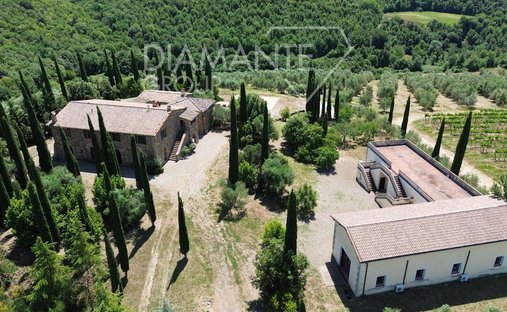 Farm Ranch in Montalcino, Tuscany, Italy 1
