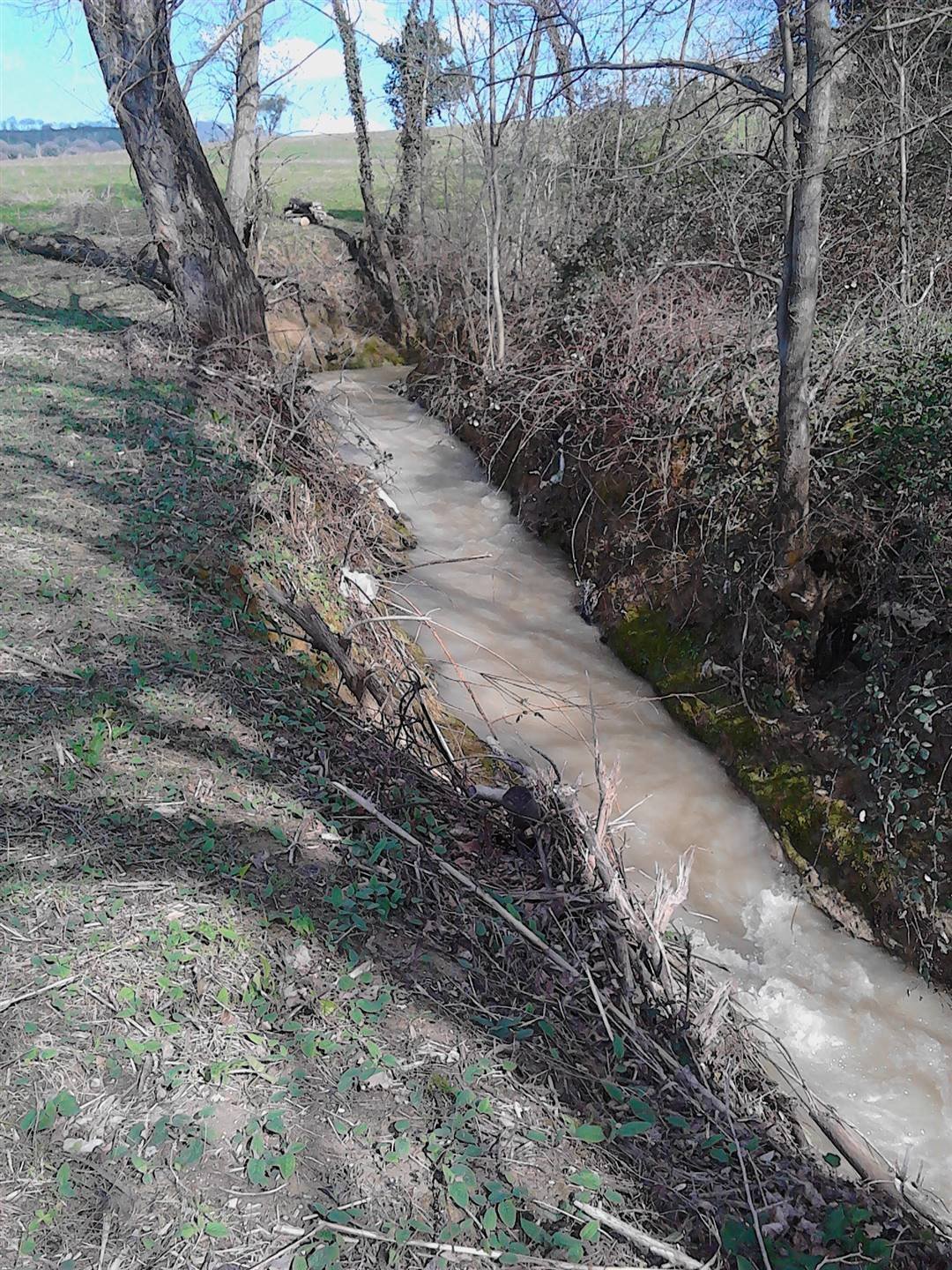 Land in Colleluce - Taccoli, San Severino Marche, Marche 4 - 16722439