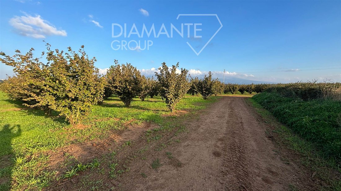 Land in Monterazzano, Viterbo, Lazio 5 - 16724991