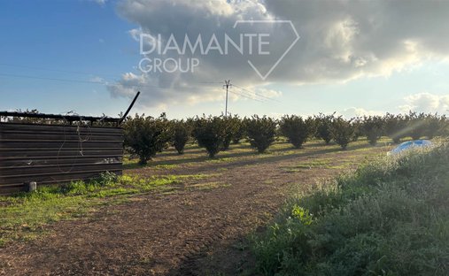 Castle for Sale in Viterbo, Lazio, Italy