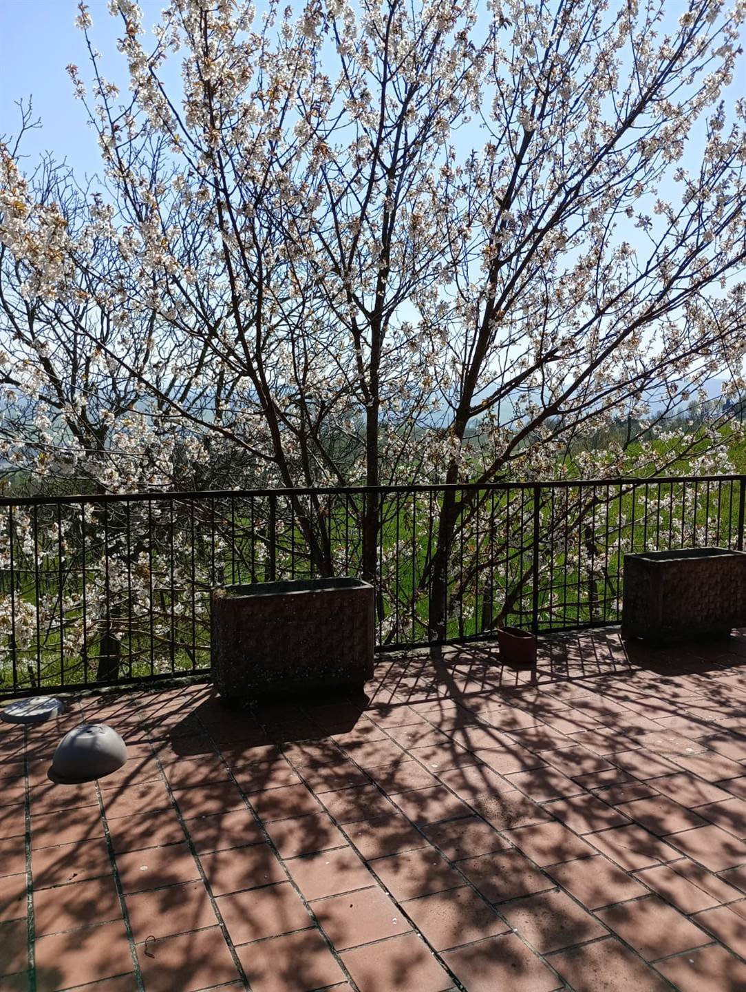 Villa in Langhirano, Emilia-Romagna, Italy 2 - 16723257