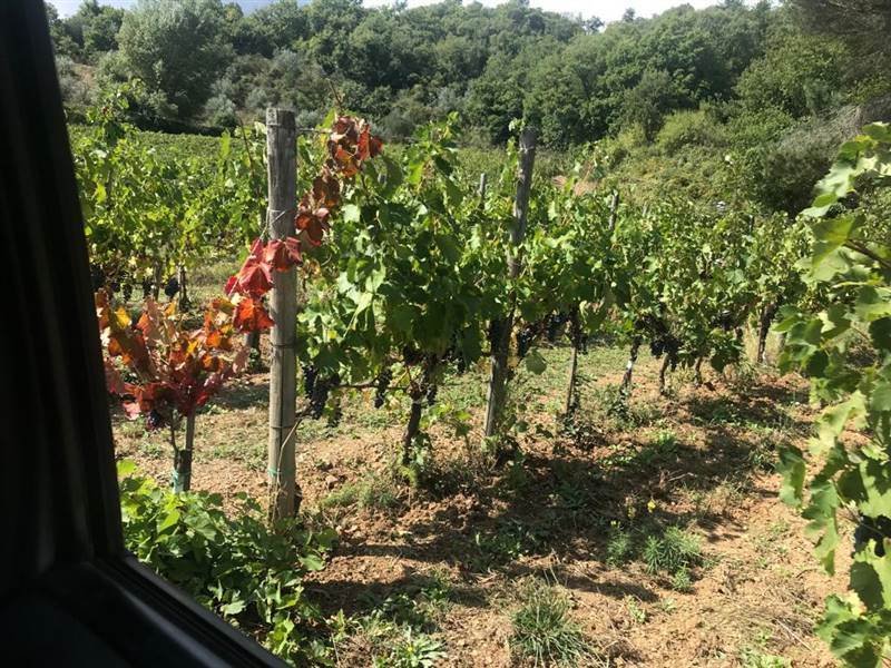 Farm Ranch in Gaiole in Chianti, Tuscany, Italy 5 - 16724012