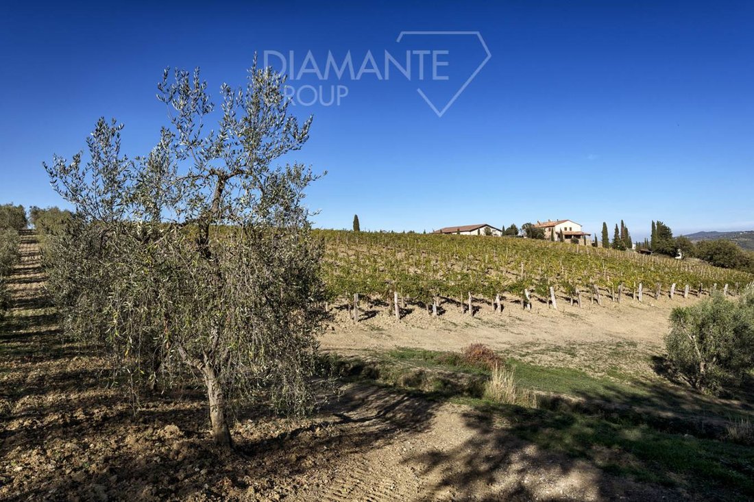 Farm Ranch in Castel del Piano, Tuscany, Italy 4 - 16725115