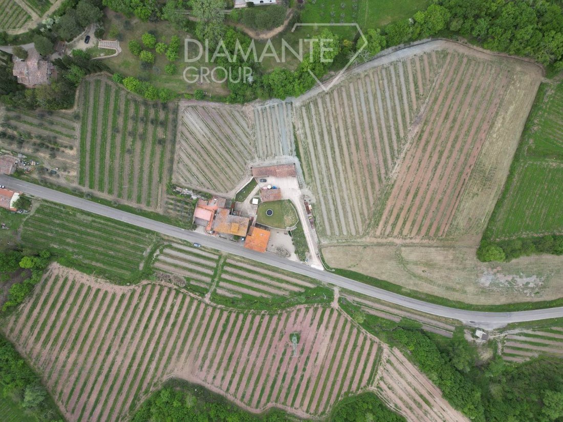 Farm Ranch in Lucolena in Chianti, Greve in Chianti, Tuscany 4 - 16725018