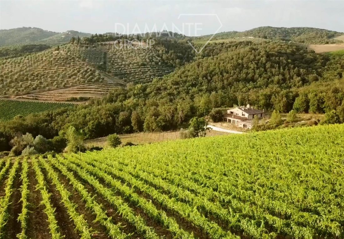 Castelnuovo Berardenga, Tuscany, Italy 2 - 16725023
