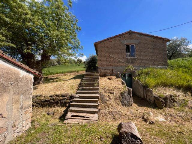 Farm Ranch in Arcidosso, Tuscany, Italy 3 - 16725157
