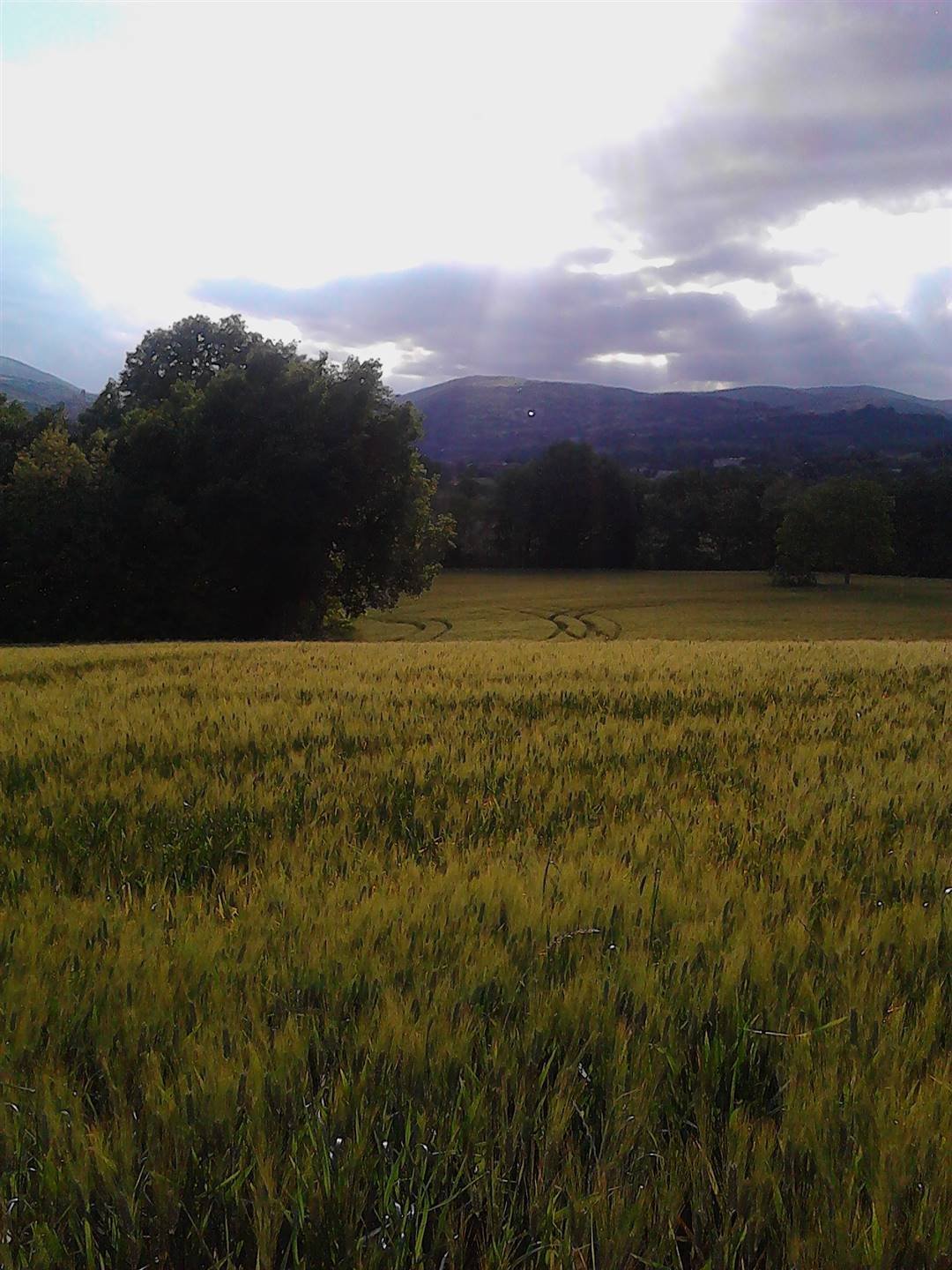 Land in Colleluce - Taccoli, San Severino Marche, Marche 2 - 16722439