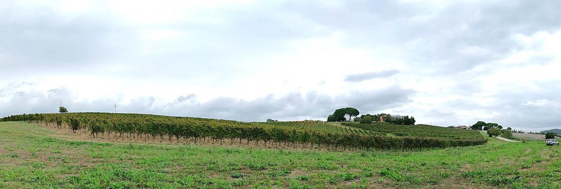 Farm Ranch in Magliano in Toscana, Tuscany, Italy 4 - 16722288